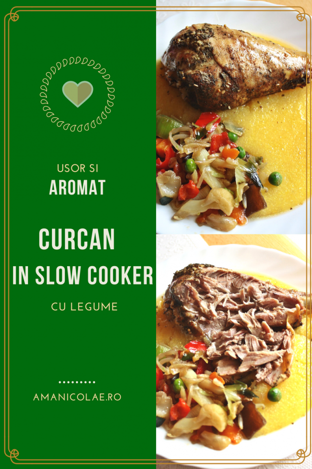 curcan-slow-cooker